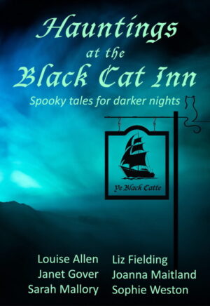Cover of Hauntings at the Black Cat Inn